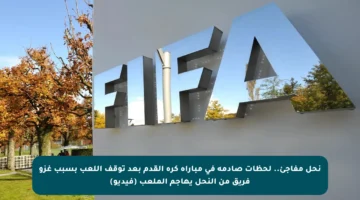 نحل مفاجئ.. لحظات صادمة في مباراة كرة القدم بعد توقف اللعب بسبب غزو فريق من النحل يهاجم الملعب (فيديو)